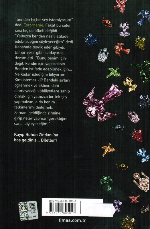 Kayip Ruhun Zindani Esrarname 2