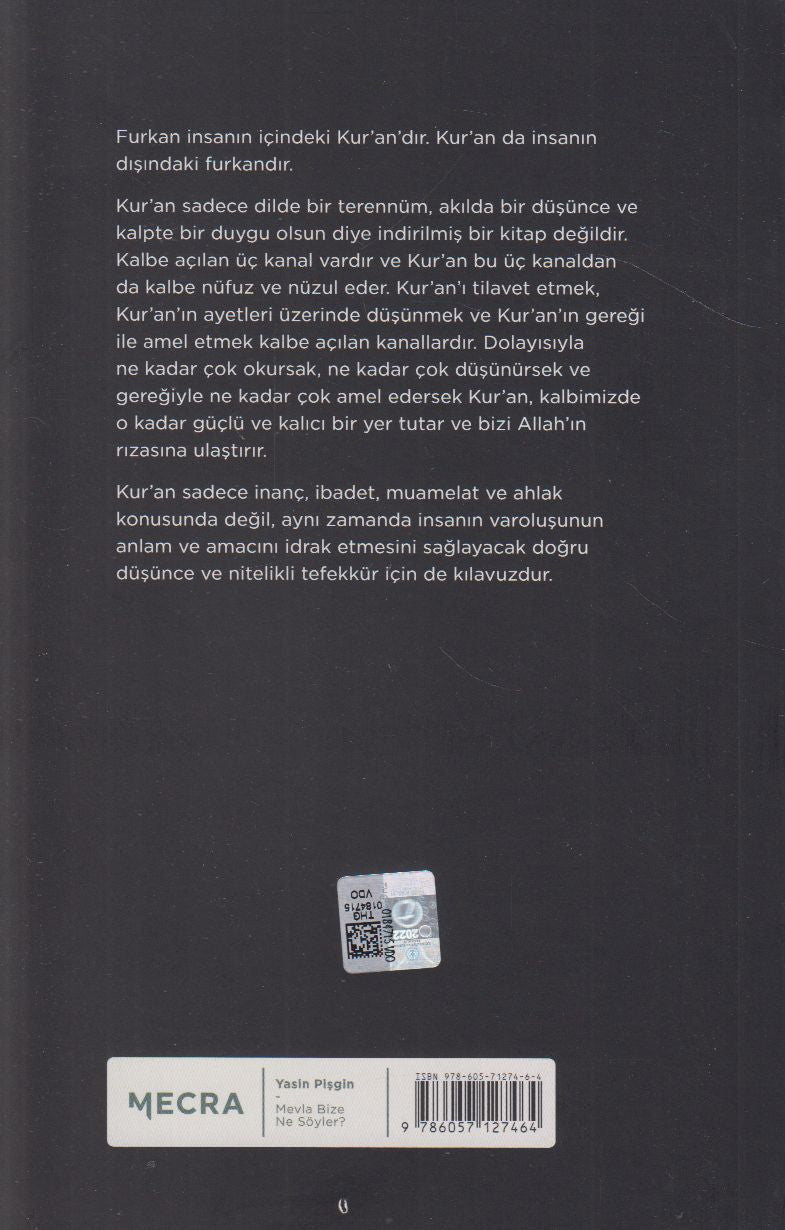 Mevla Bize Ne Söyler?