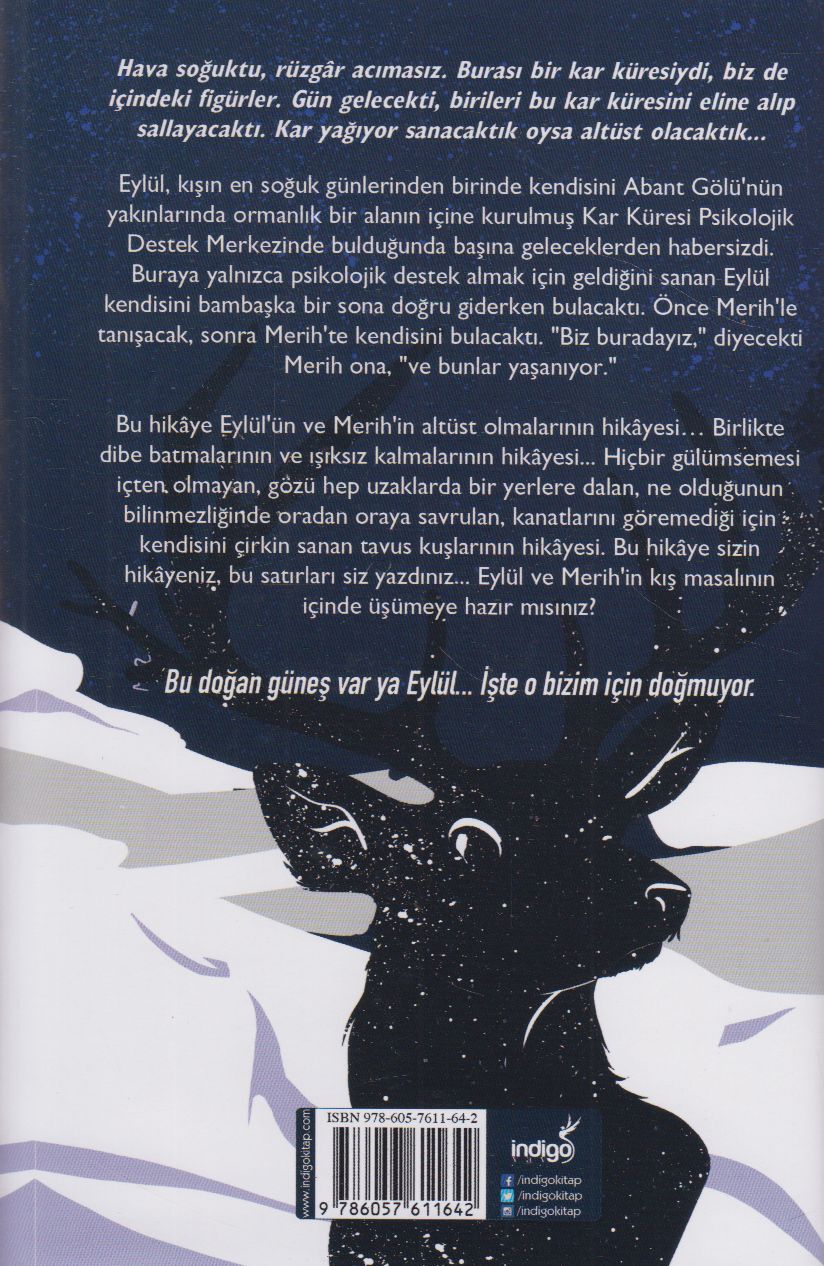 Kar Küresi - Ciltli