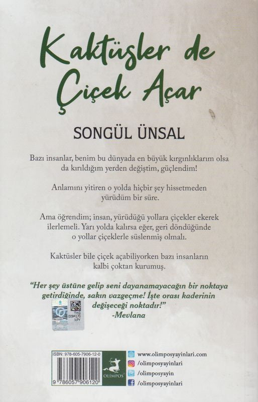 Kaktüsler de Cicek Acar