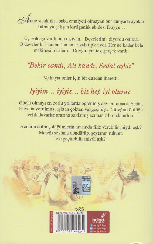 Duygu Bir Türk Masali