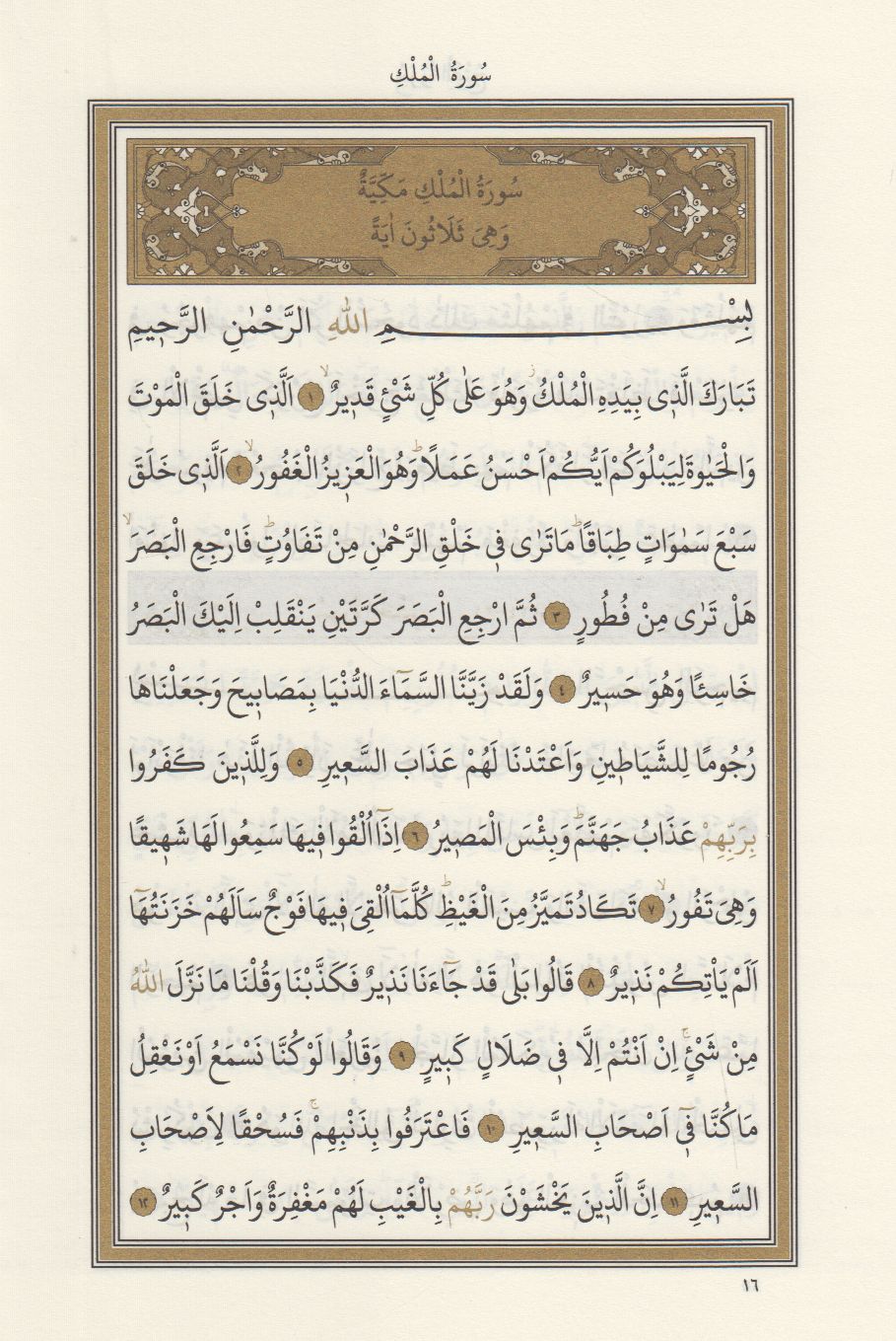 Yasin Ve Kısa Sureler Orta Boy Arapça