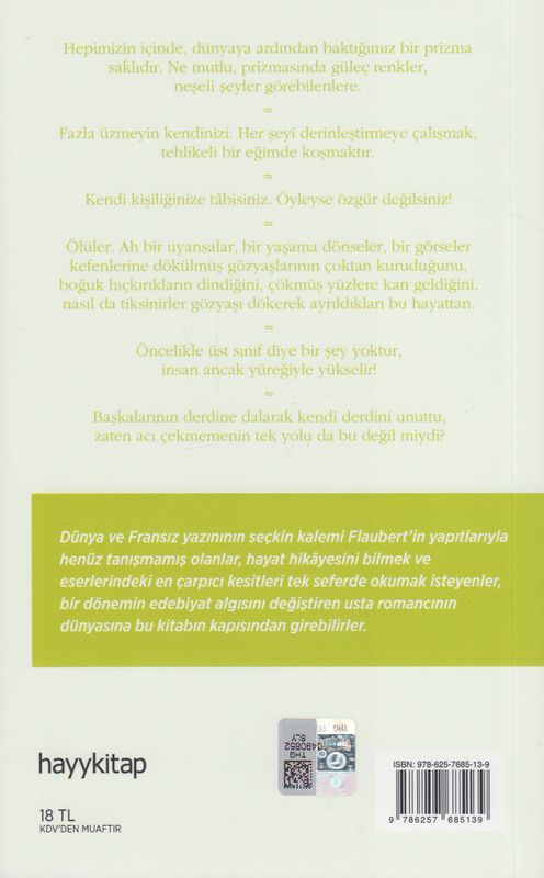 Gerçek Aci Disa Vurulmayan Acidir Gustave Flaubertden Hayat Dersleri