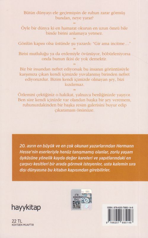 Dünyada Kendim Kadar Az Bildigim Baska Hic Birsey YokHermann Hesseden Hayat Dersleri