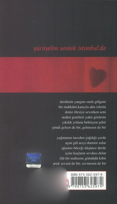 Yürüyelim Seninle Istanbulda