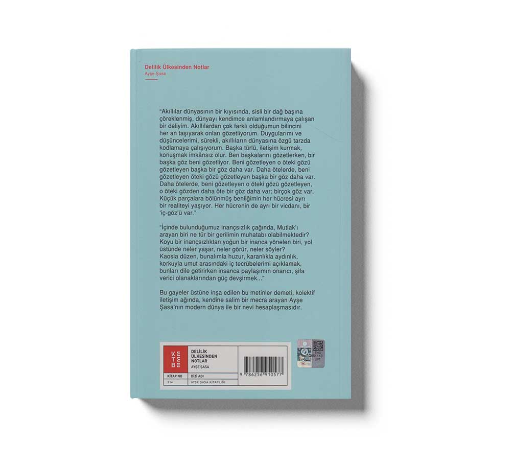 Delilik Ülkesinden Notlar