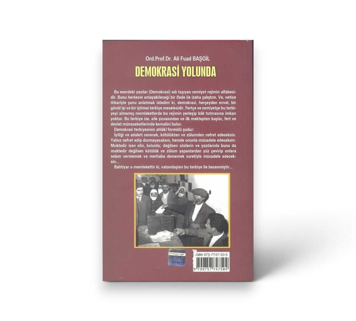 Demokrasi Yolunda