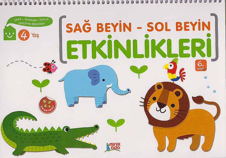 Sag Beyin-Sol Beyin Etkinlikleri 4 Yas