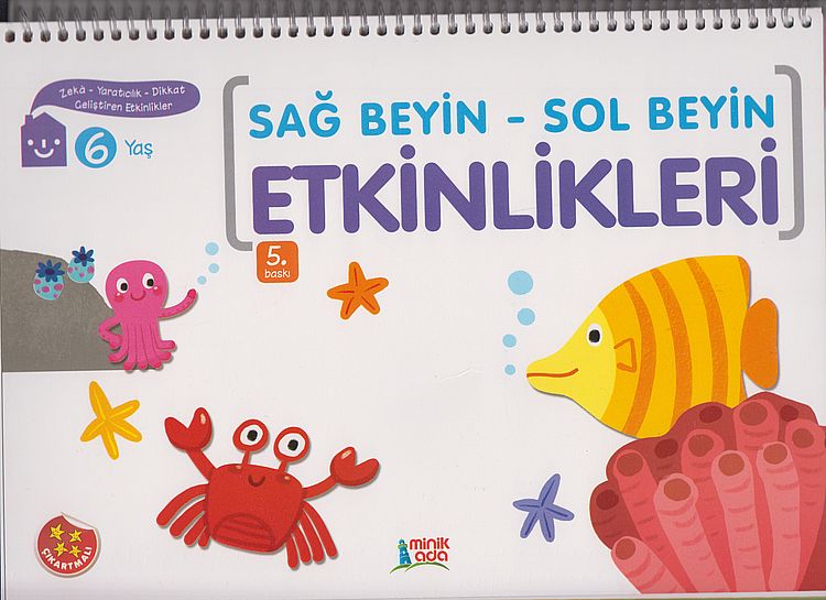 Sag Beyin Sol Beyin 6Yas