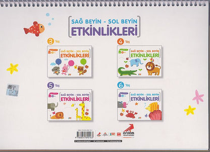 Sag Beyin Sol Beyin 6Yas