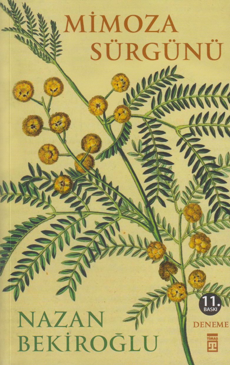 Mimoza Sürgünü Timas