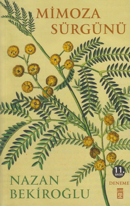 Mimoza Sürgünü Timas