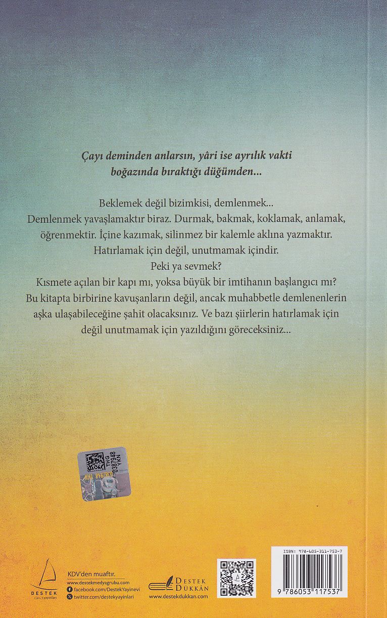 Elif Gibi Sevmek dem