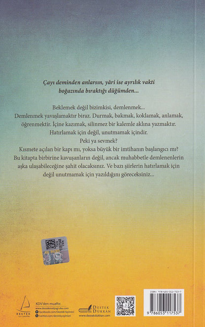 Elif Gibi Sevmek dem