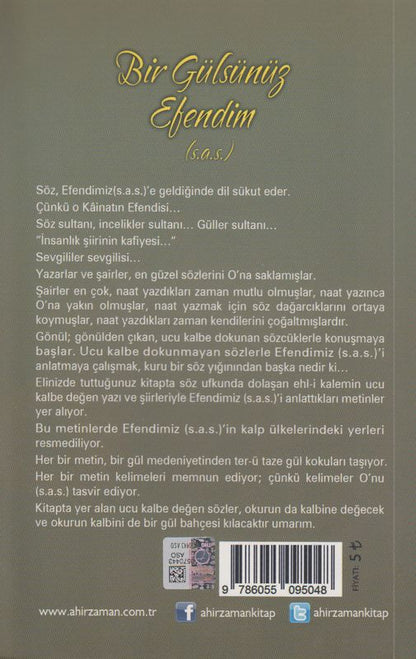 Bir Gülsünüz Efendim