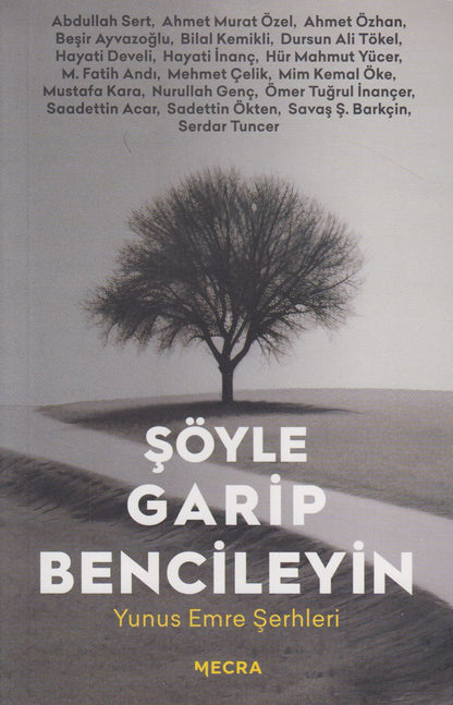 Söyle Garip Bencileyin