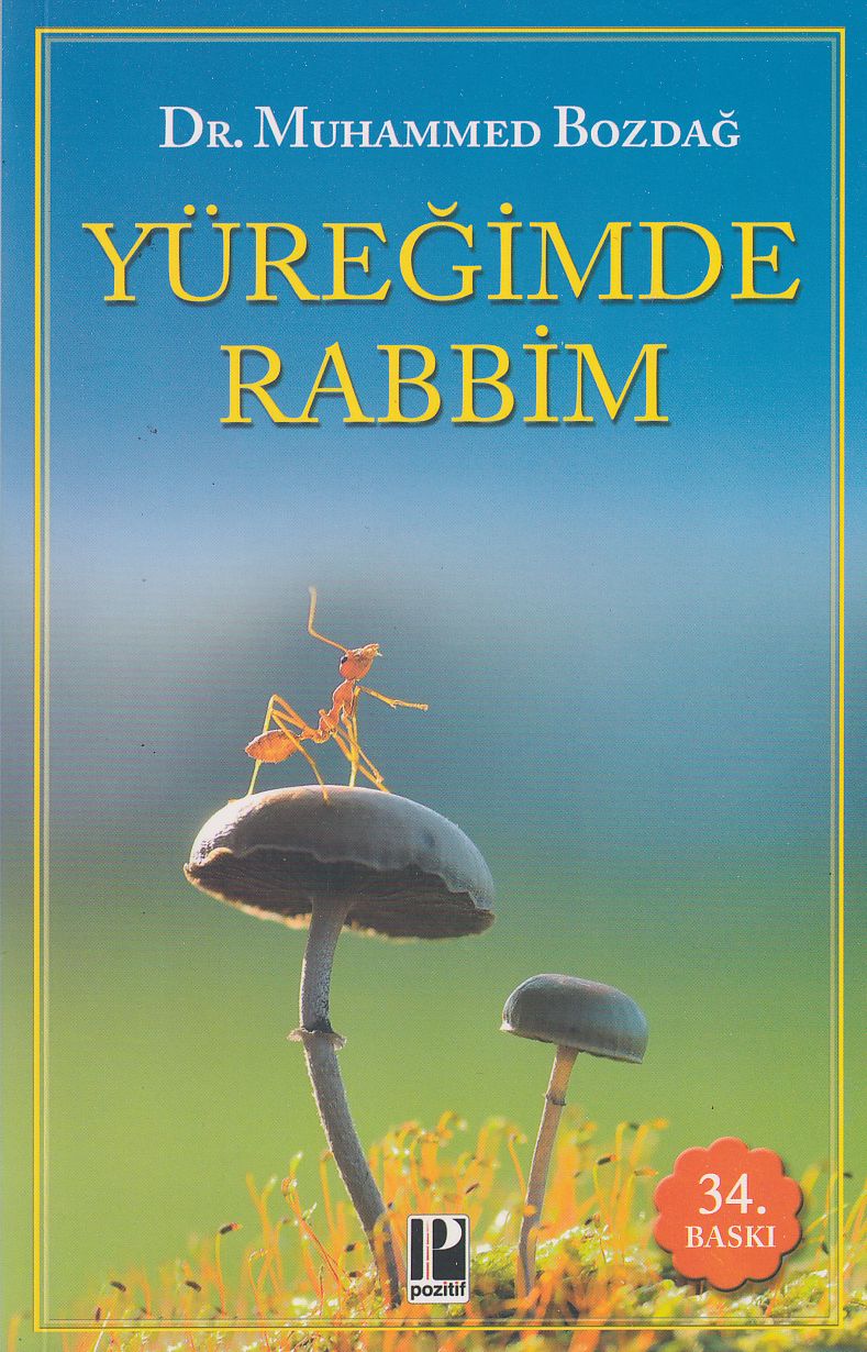 Yüregimde Rabbim