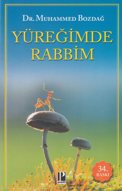 Yüregimde Rabbim
