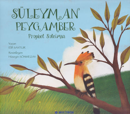 Süleyman Peygamber - Prophet Salomon