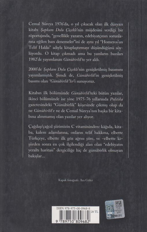 Günübirlik'Ler Toplu Yazilar 2