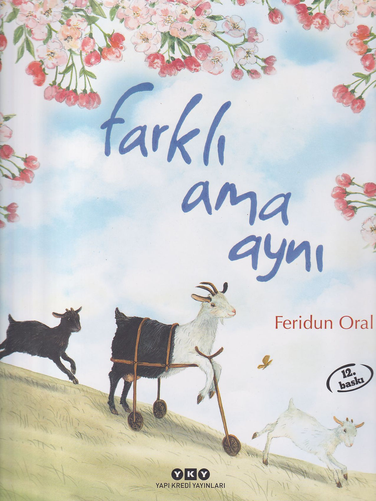 Farklı Ama Aynı