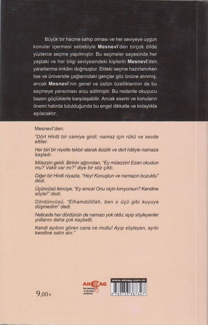 Mevlana Mesneviden Secmeler 100 Temel Eser