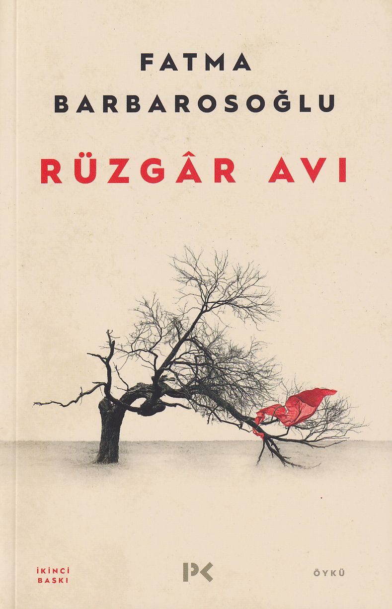 Rüzgar Avı