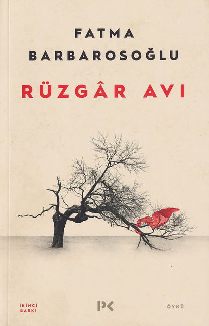 Rüzgar Avı