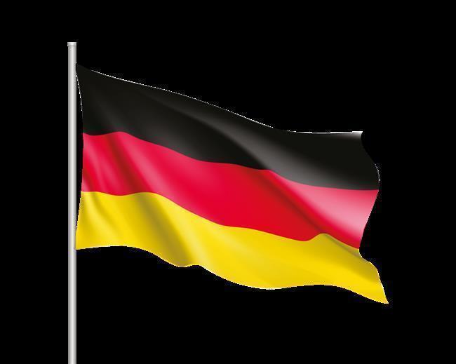 Bayrak Alman 100X150