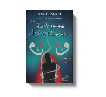 Asik Degilsin Asin Icindesin