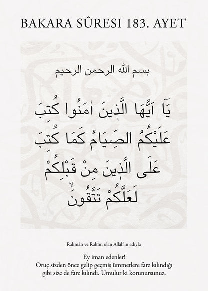 Afiş Poster 50 x 70 cm V 007