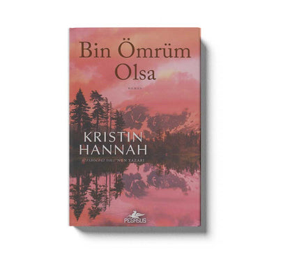 Bir Ömrüm Olsa
