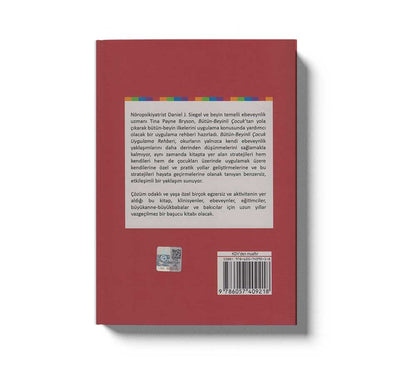 Bütün Beyinli Çocuk Uygulama Rehberi