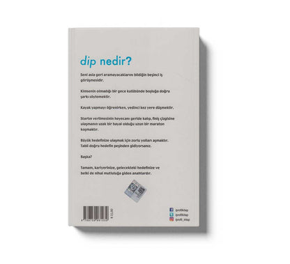 Dip ( Vazgecmeyi Ve Vazgecmemeyi Ögreten Kitap )