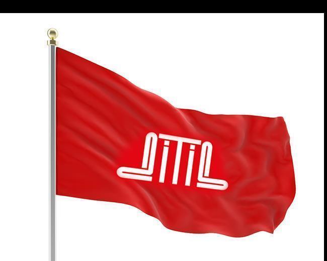 Bayrak Ditib 100X150