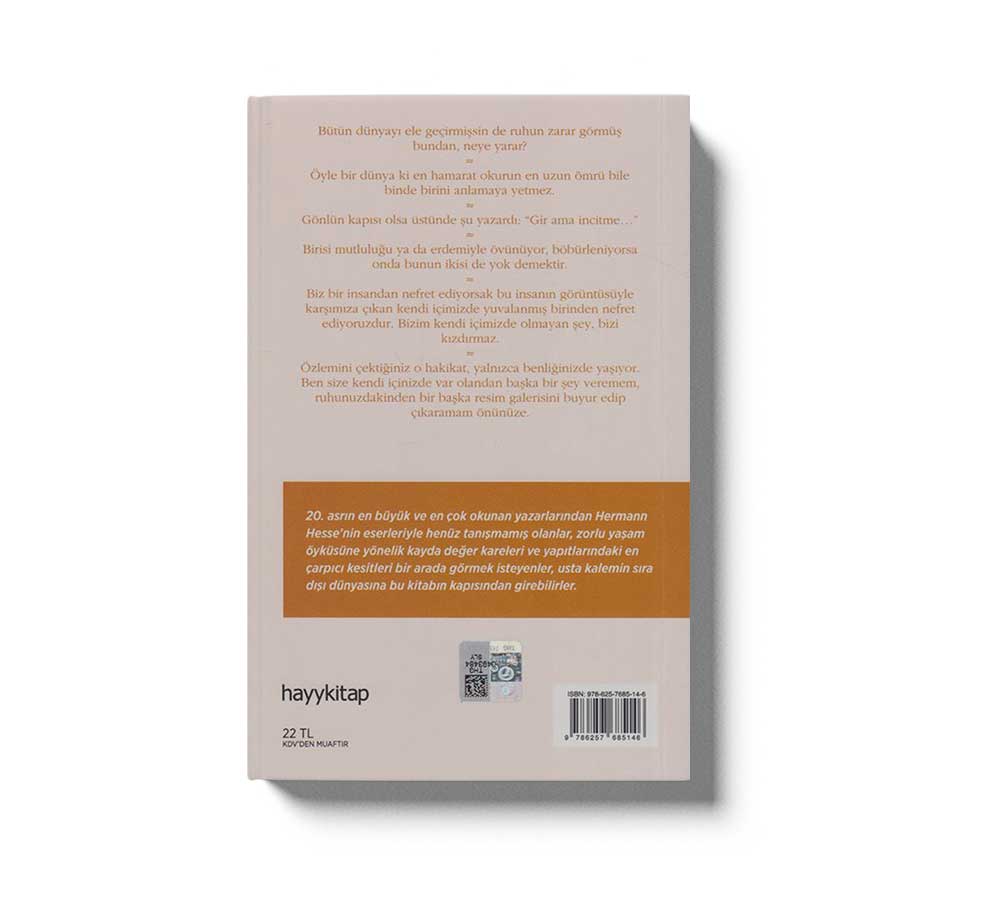 Dünyada Kendim Kadar Az Bildigim Baska Hic Birsey YokHermann Hesseden Hayat Dersleri