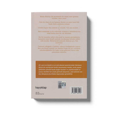 Dünyada Kendim Kadar Az Bildigim Baska Hic Birsey YokHermann Hesseden Hayat Dersleri