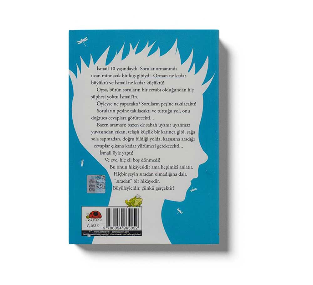 Ismail Hal ve Gidişat Zayıf