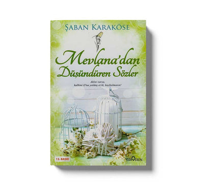 Mevlanadan Düşündüren Sözler