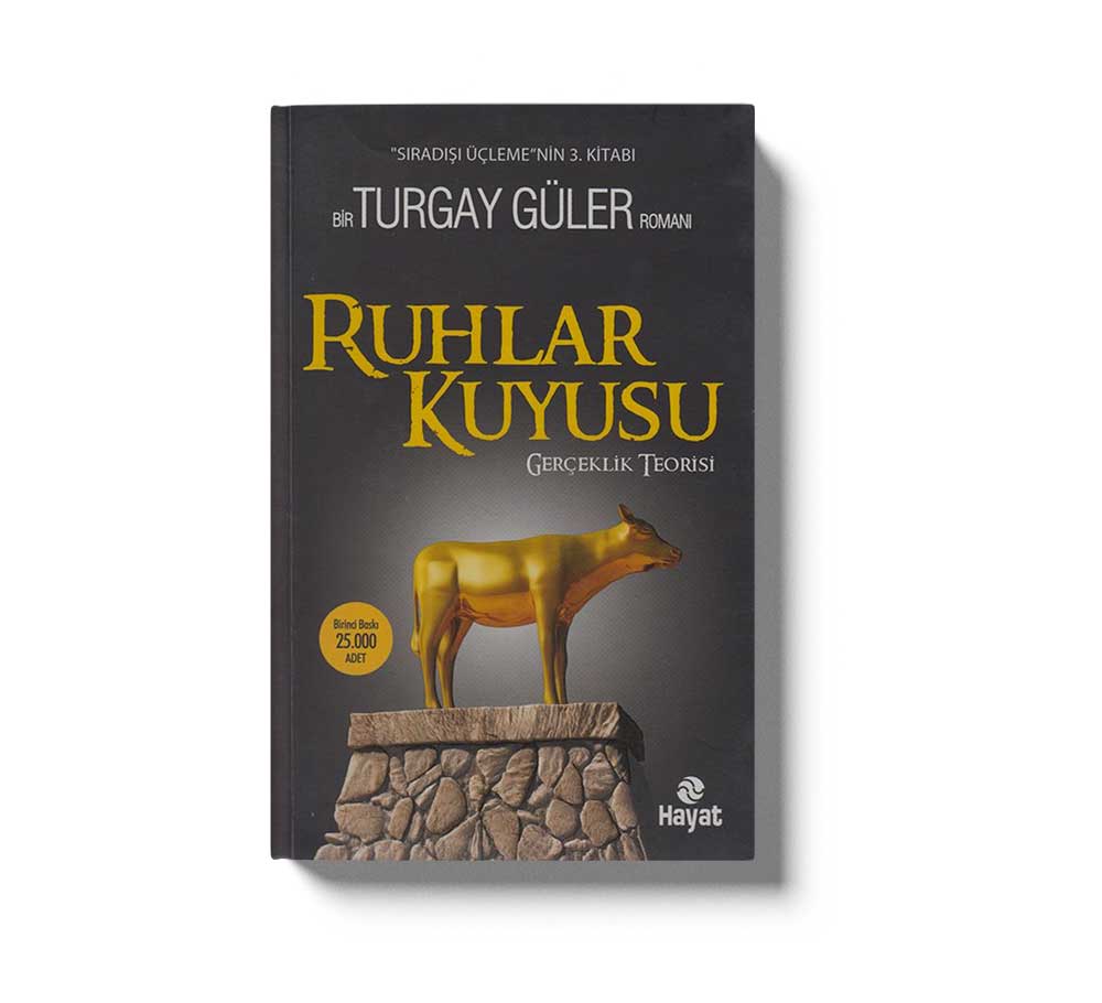 Ruhlar Kuyusu Gerçeklik Teorisi