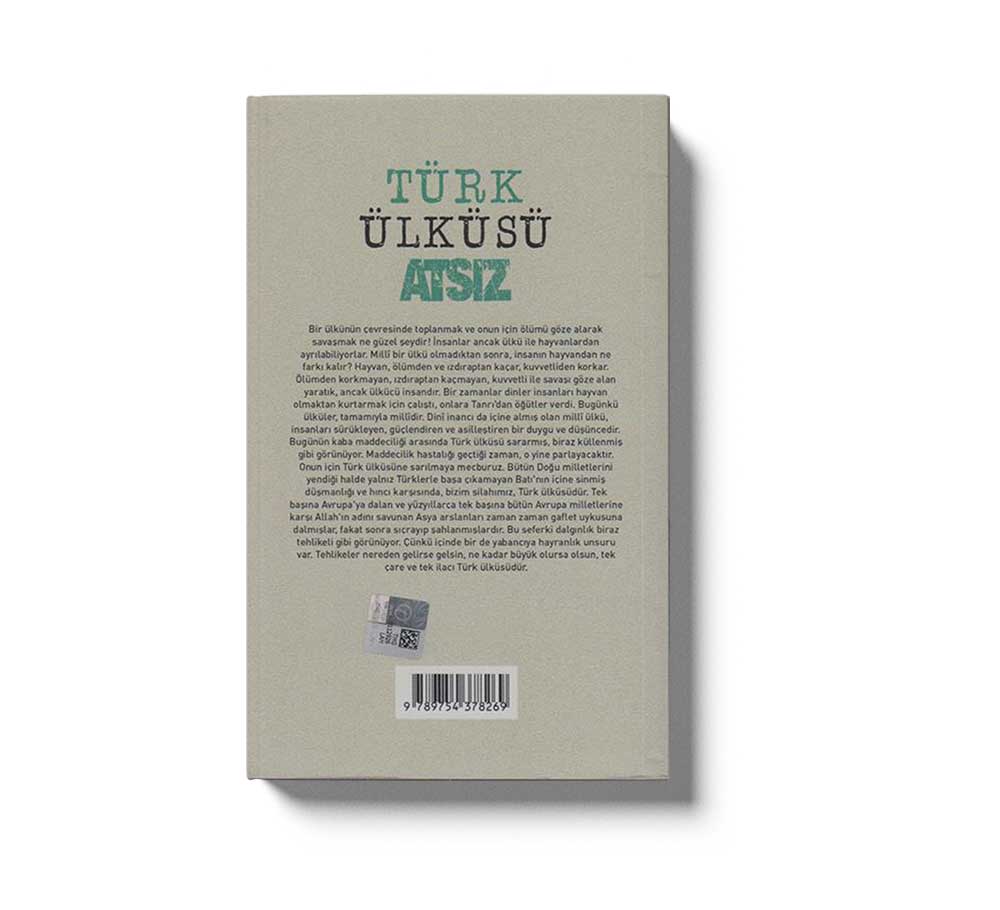 Türk Ülküsü