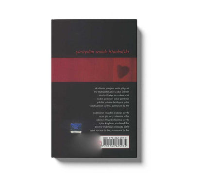 Yürüyelim Seninle Istanbulda