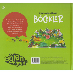 Hayvanlar Alemi Böcekler