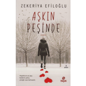 Aşkın Peşinde